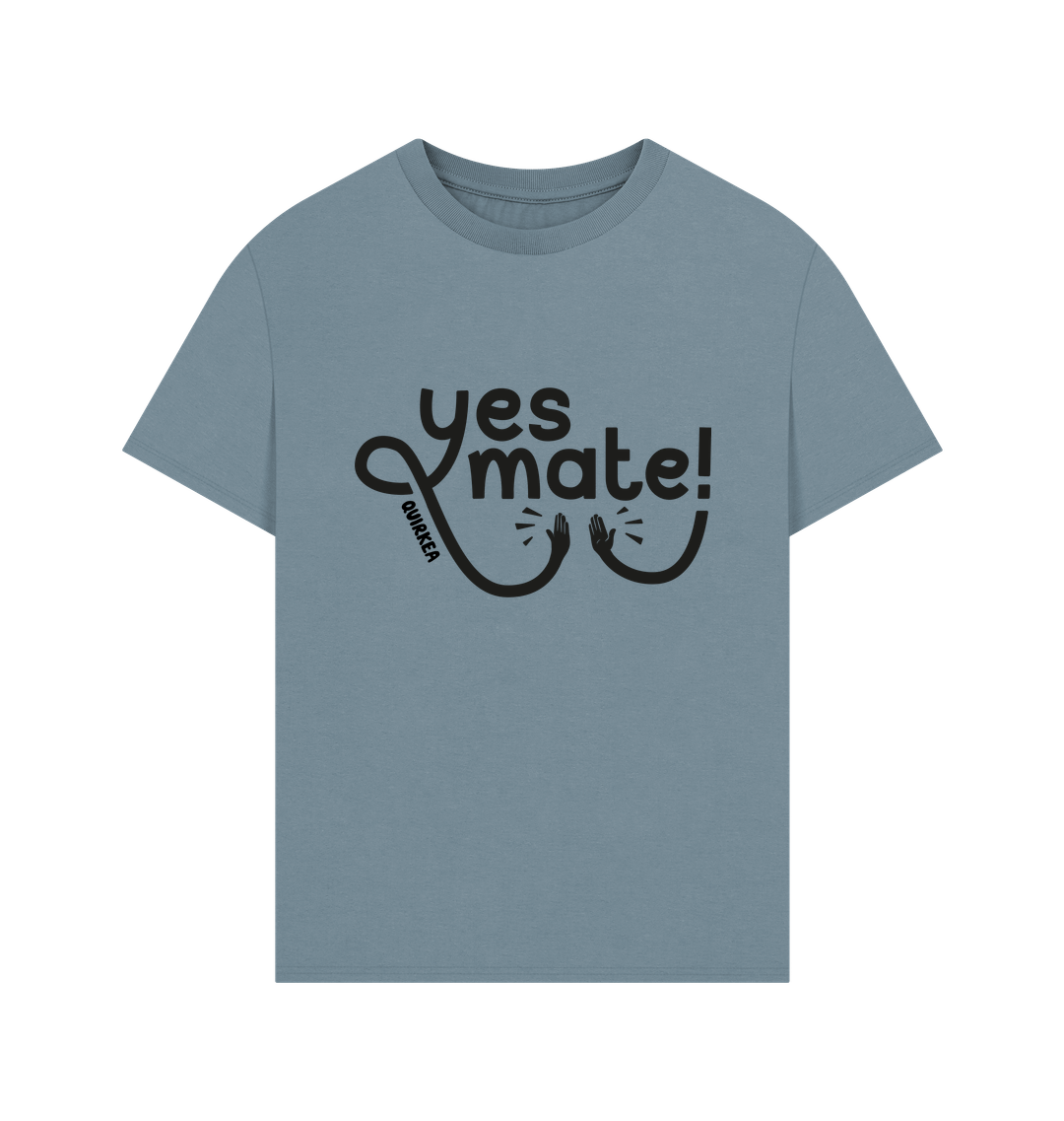 Stone Blue Printed T-shirt